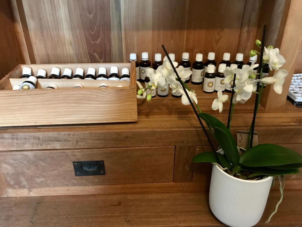 Coeur De Roses, Gite & Chambre D'Hotes Alaigne Экстерьер фото